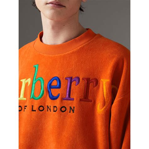 burberry sweatshirt rainbow|Burberry sweatshirt men's price.